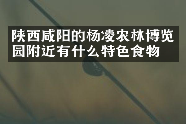 陕西咸阳的杨凌农林博览园附近有什么特色食物吗