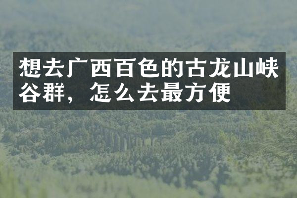 想去广西百色的古龙山峡谷群，怎么去最方便