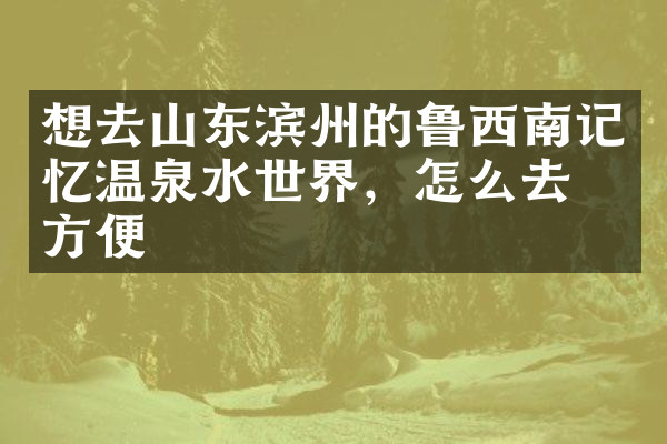 想去山东滨州的鲁西南记忆温泉水世界，怎么去最方便
