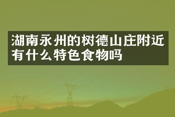 湖南永州的树德山庄附近有什么特色食物吗
