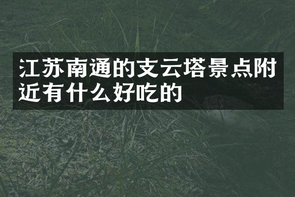江苏南通的支云塔景点附近有什么好吃的