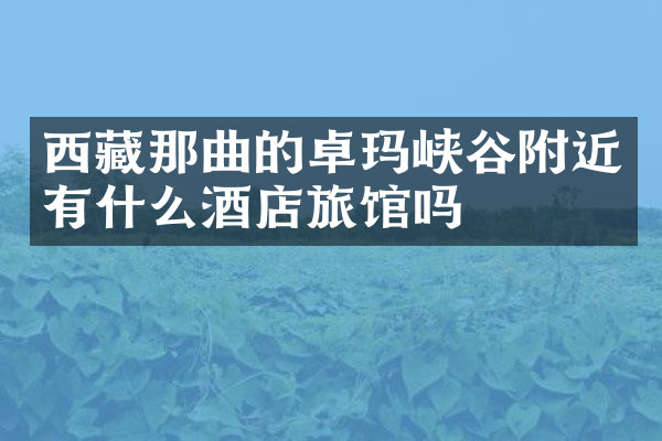 西藏那曲的卓玛峡谷附近有什么酒店旅馆吗