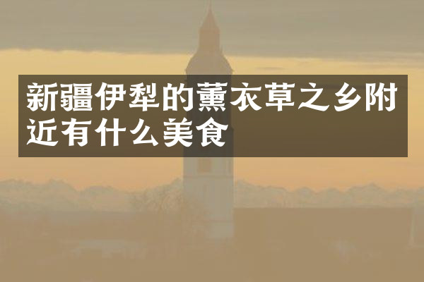 新疆伊犁的薰衣草之乡附近有什么美食