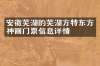 安徽芜湖的芜湖方特东方神画门票信息详情