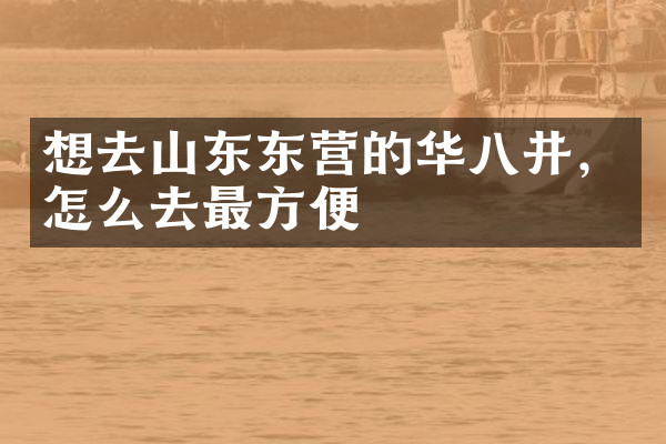 想去山东东营的华八井，怎么去最方便