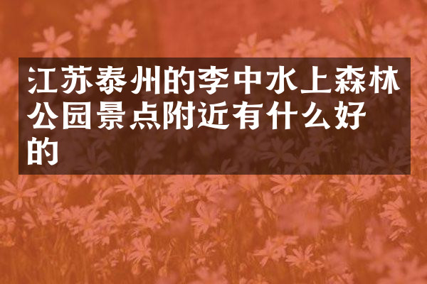 江苏泰州的李中水上森林公园景点附近有什么好吃的