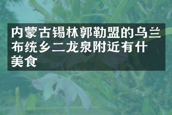 内蒙古锡林郭勒盟的乌兰布统乡二龙泉附近有什么美食