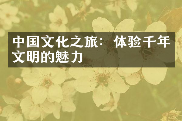 中国文化之旅：体验千年文明的魅力