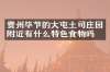 贵州毕节的大屯土司庄园附近有什么特色食物吗