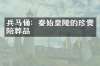 兵马俑：秦始皇陵的珍贵陪葬品