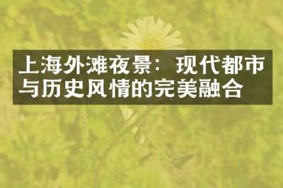 上海外滩夜景：现代都市与历史风情的完美融合