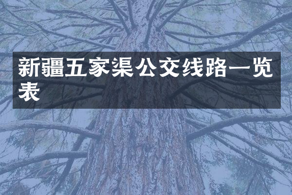新疆五家渠公交线路一览表