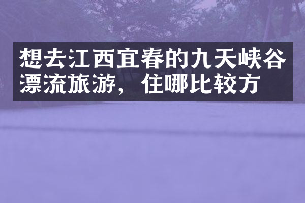 想去江西宜春的九天峡谷漂流旅游，住哪比较方便