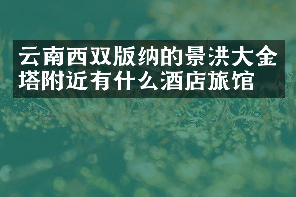 云南西双版纳的景洪大金塔附近有什么酒店旅馆吗