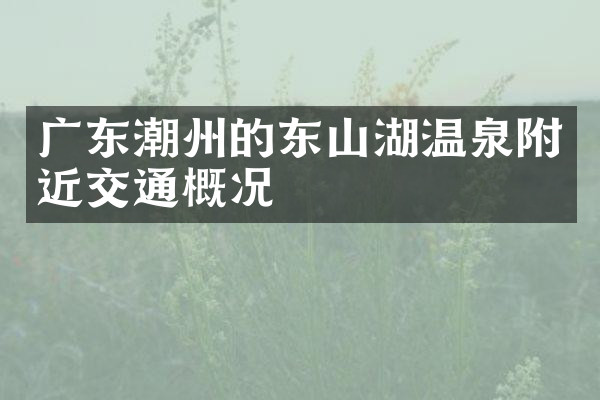 广东潮州的东山湖温泉附近交通概况