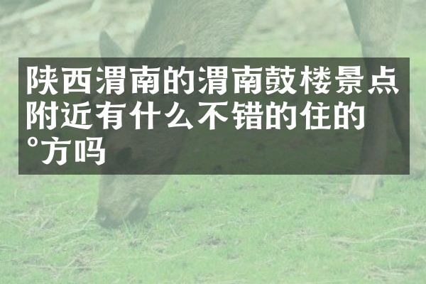 陕西渭南的渭南鼓楼景点附近有什么不错的住的地方吗