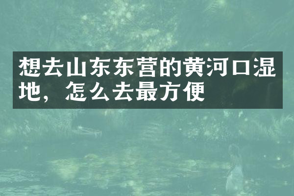 想去山东东营的黄河口湿地，怎么去最方便