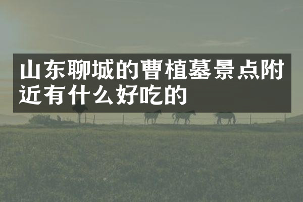 山东聊城的曹植墓景点附近有什么好吃的