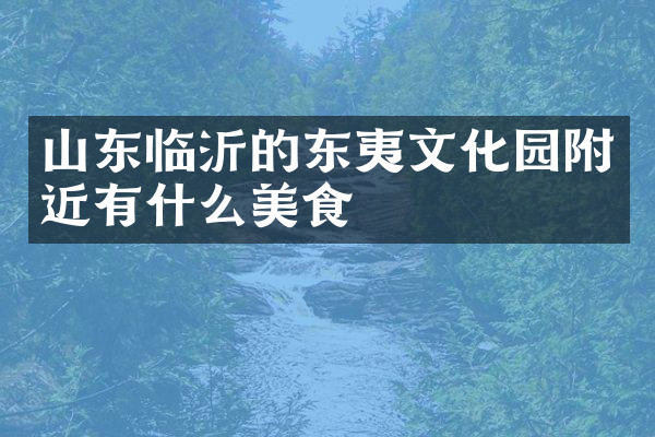 山东临沂的东夷文化园附近有什么美食