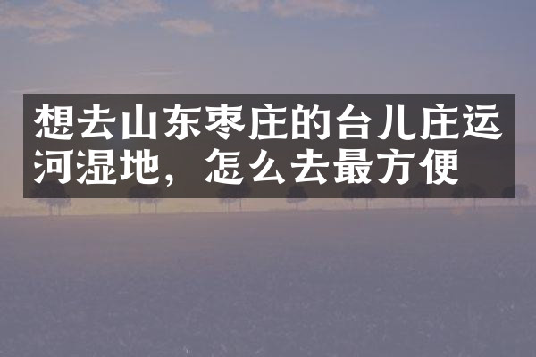 想去山东枣庄的台儿庄运河湿地，怎么去最方便