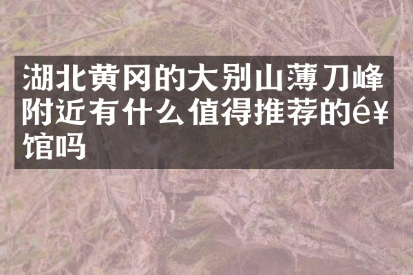 湖北黄冈的大别山薄刀峰附近有什么值得推荐的饭馆吗