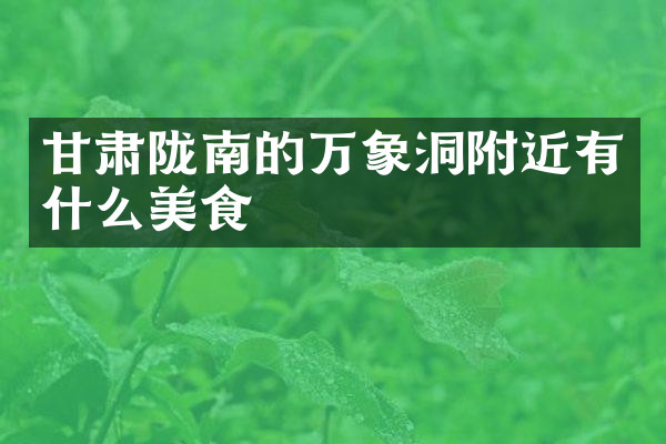 甘肃陇南的万象洞附近有什么美食