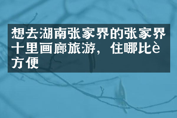 想去湖南张家界的张家界十里画廊旅游，住哪比较方便