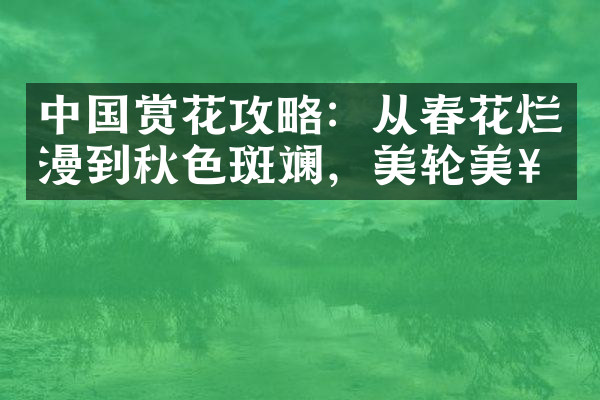 中国赏花攻略：从春花烂漫到秋色斑斓，美轮美奂