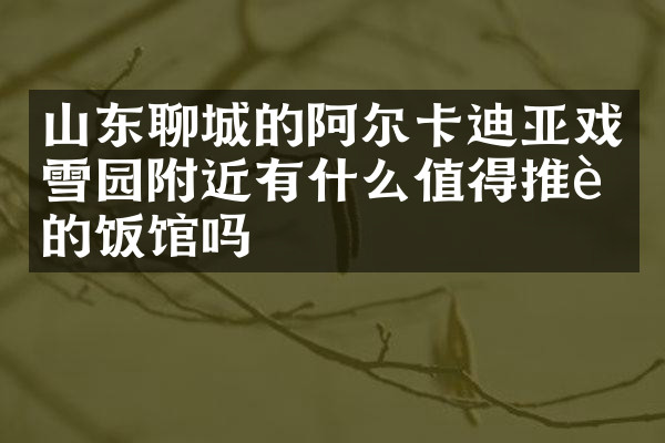 山东聊城的阿尔卡迪亚戏雪园附近有什么值得推荐的饭馆吗