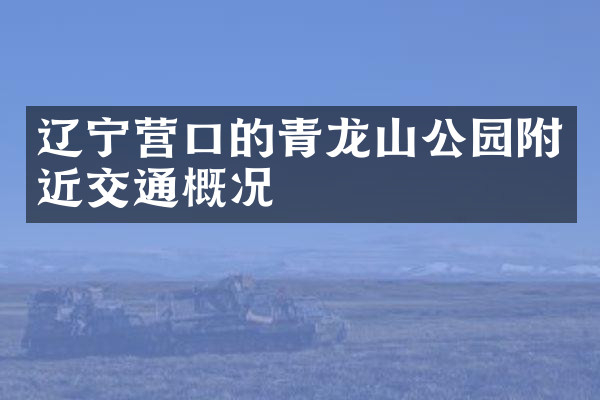 辽宁营口的青龙山公园附近交通概况