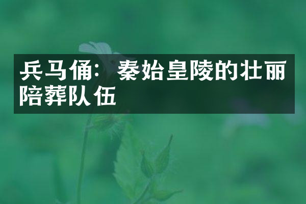 兵马俑：秦始皇陵的壮丽陪葬队伍