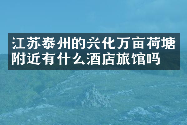 江苏泰州的兴化万亩荷塘附近有什么酒店旅馆吗
