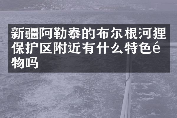 新疆阿勒泰的布尔根河狸保护区附近有什么特色食物吗