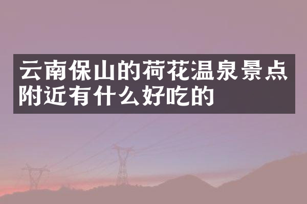 云南保山的荷花温泉景点附近有什么好吃的