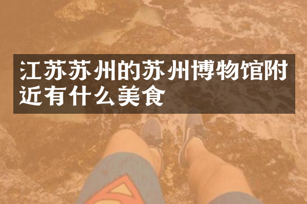 江苏苏州的苏州博物馆附近有什么美食