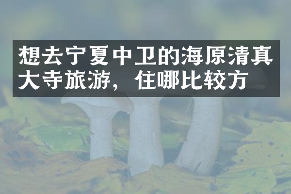 想去宁夏中卫的海原清真大寺旅游，住哪比较方便