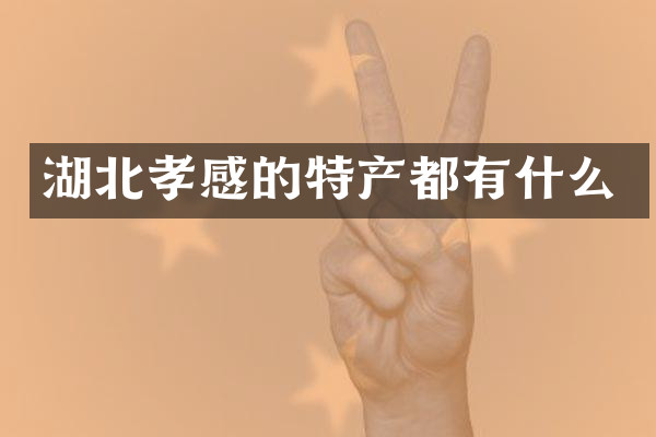 湖北孝感的特产都有什么