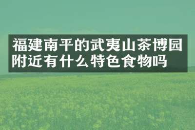 福建南平的武夷山茶博园附近有什么特色食物吗