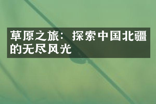 草原之旅：探索中国北疆的无尽风光
