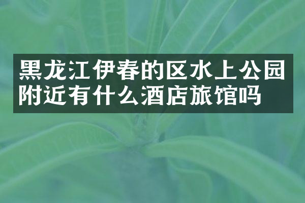 黑龙江伊春的区水上公园附近有什么酒店旅馆吗