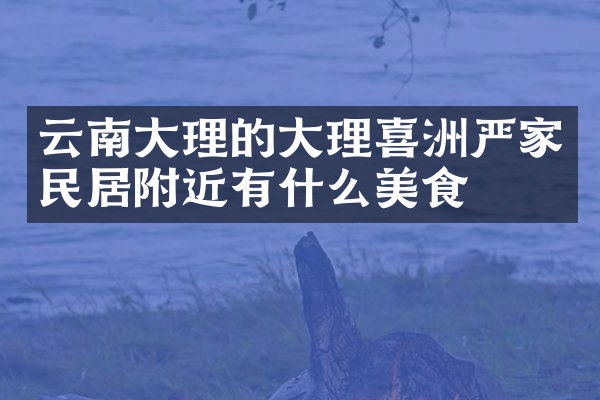 云南大理的大理喜洲严家民居附近有什么美食