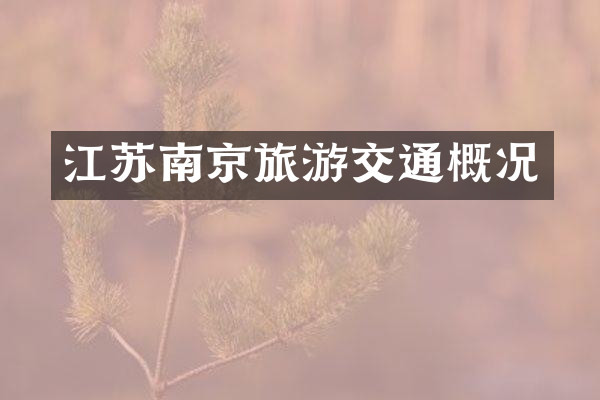 江苏南京旅游交通概况