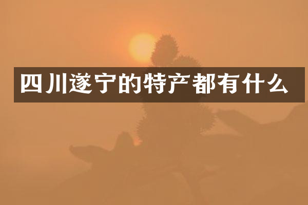 四川遂宁的特产都有什么