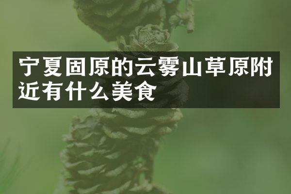 宁夏固原的云雾山草原附近有什么美食