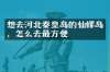 想去河北秦皇岛的仙螺岛，怎么去最方便