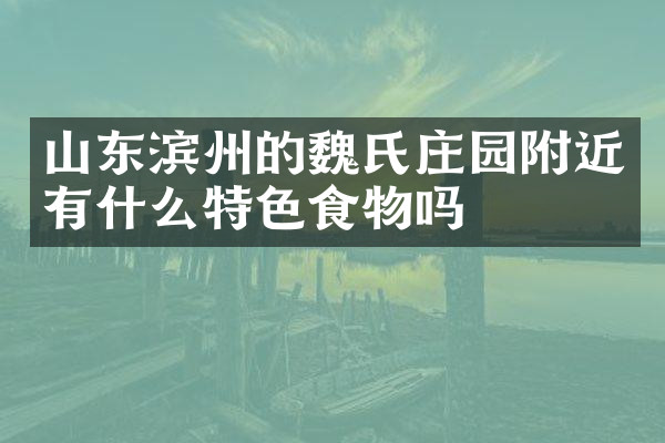山东滨州的魏氏庄园附近有什么特色食物吗