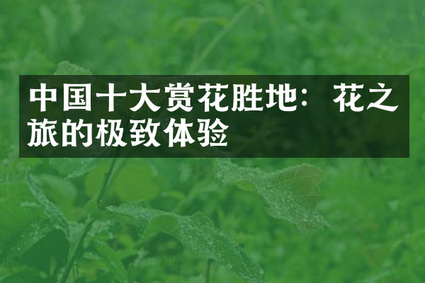 中国十大赏花胜地：花之旅的极致体验