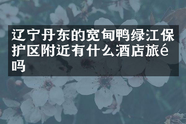辽宁丹东的宽甸鸭绿江保护区附近有什么酒店旅馆吗