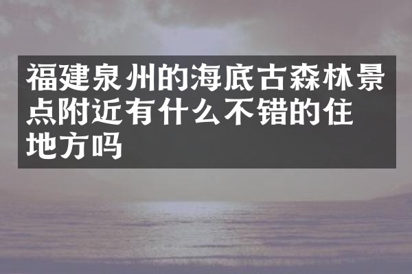 福建泉州的海底古森林景点附近有什么不错的住的地方吗