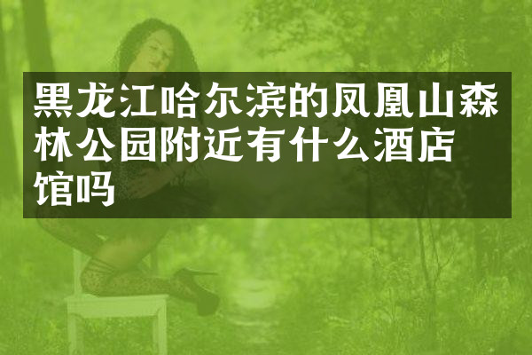 黑龙江哈尔滨的凤凰山森林公园附近有什么酒店旅馆吗